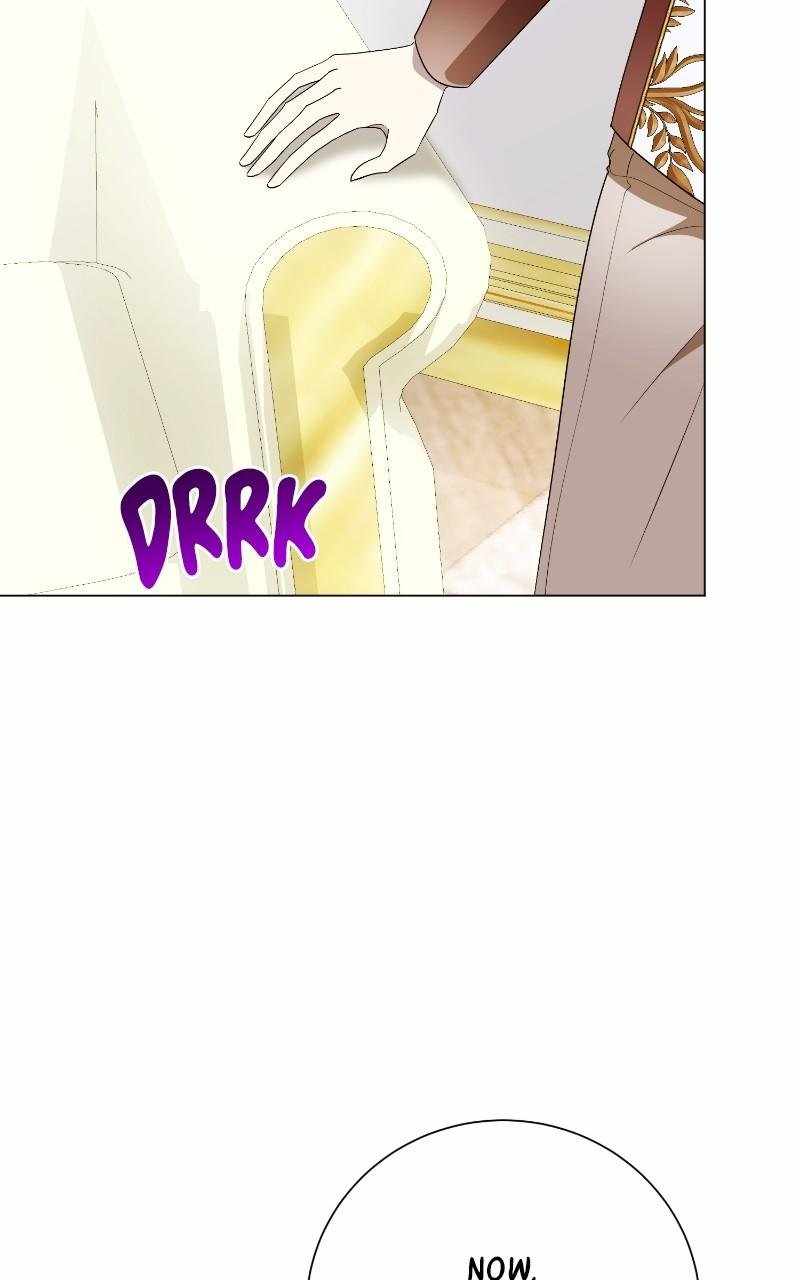 81