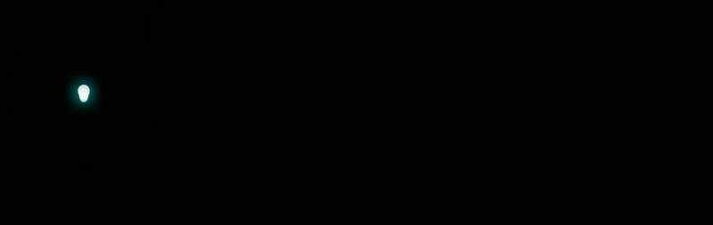 81