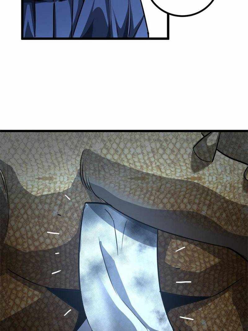 66