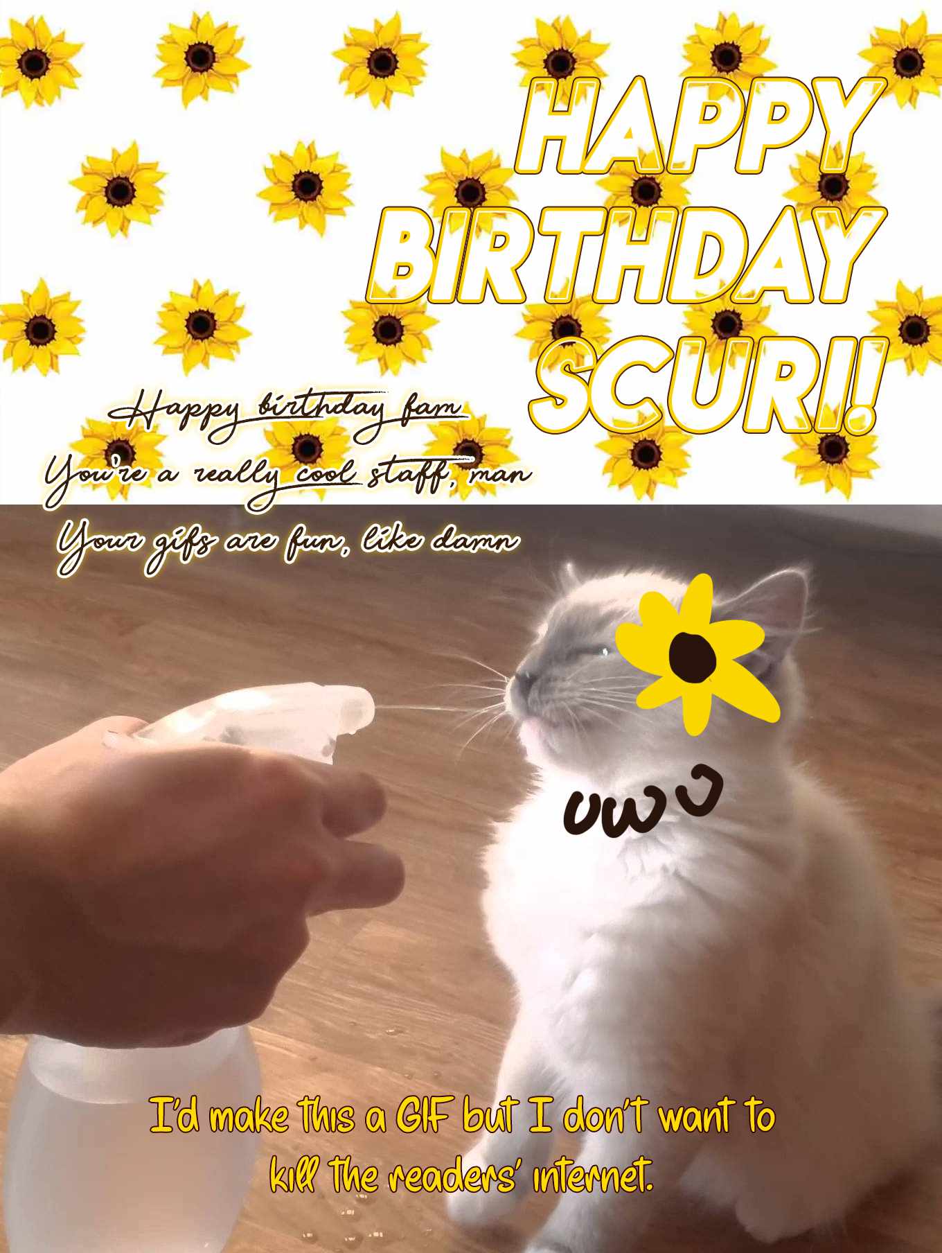 37