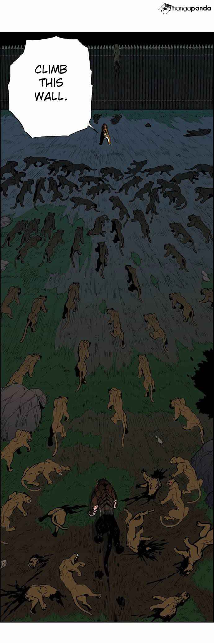 41