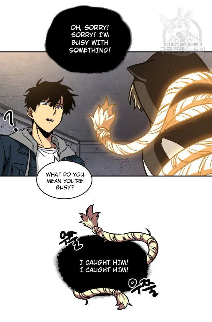81