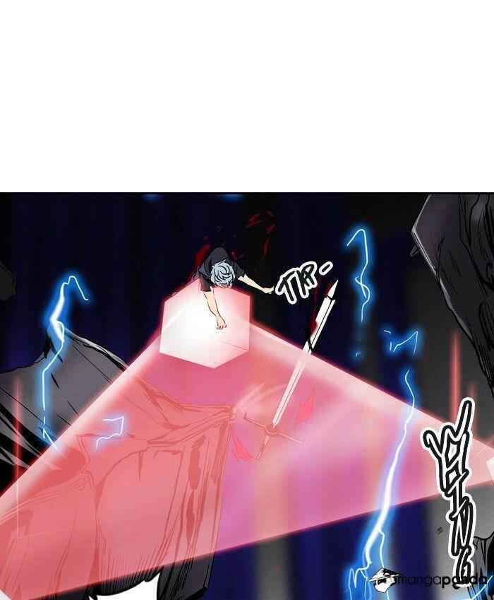 81
