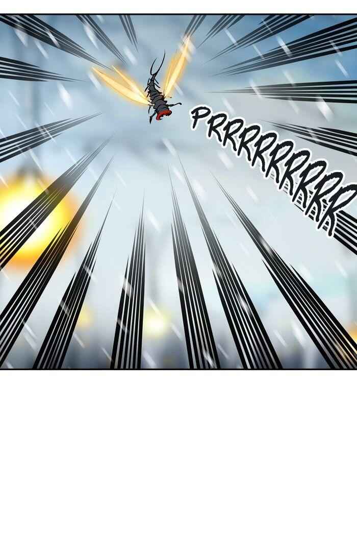 81