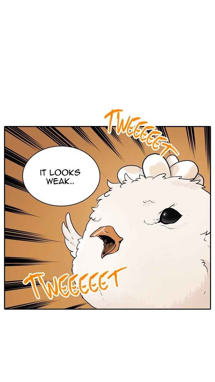 66