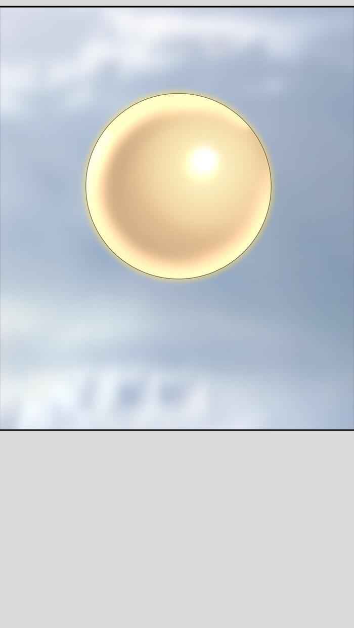 81