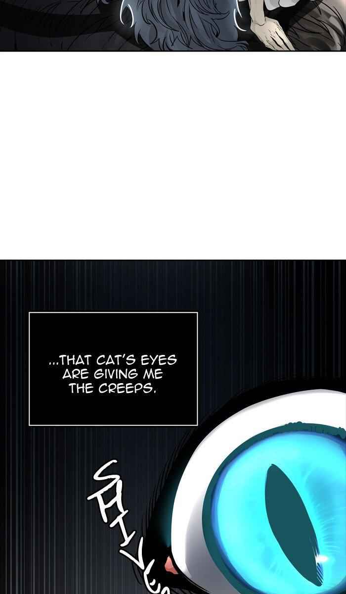 81