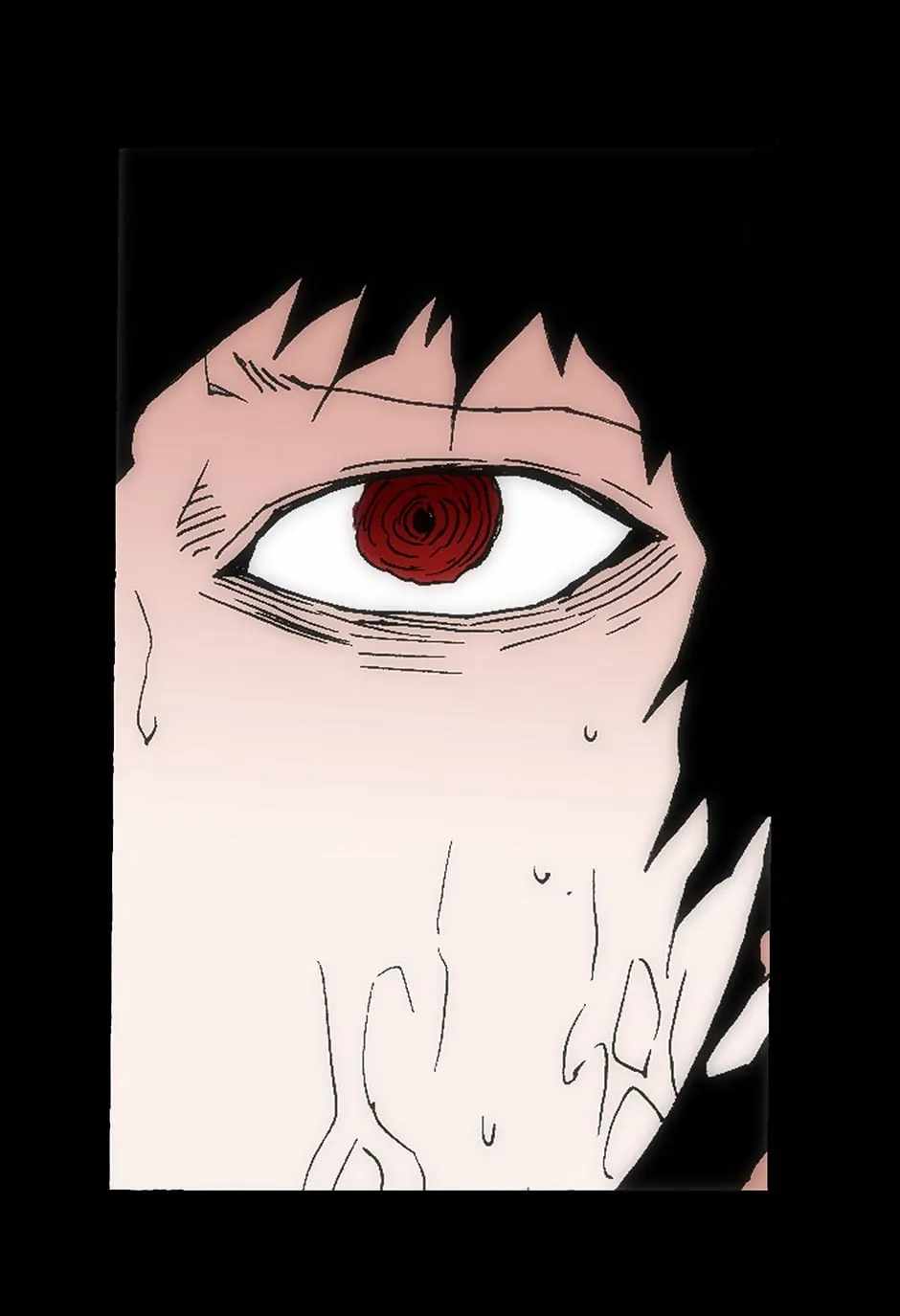 41