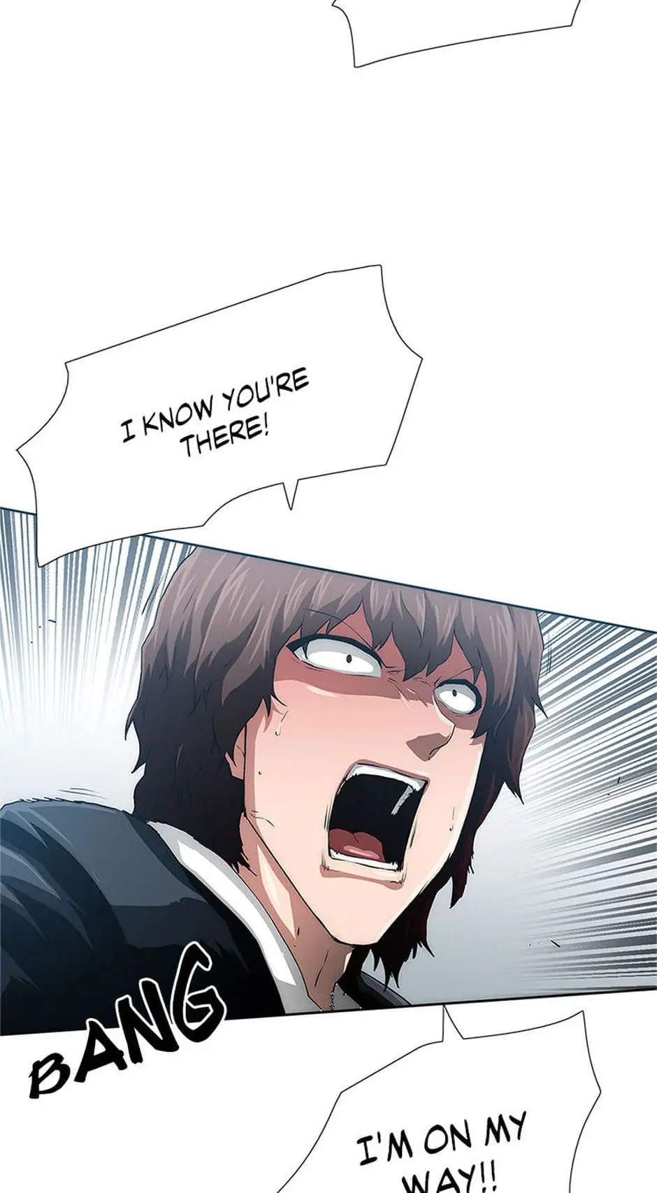 81
