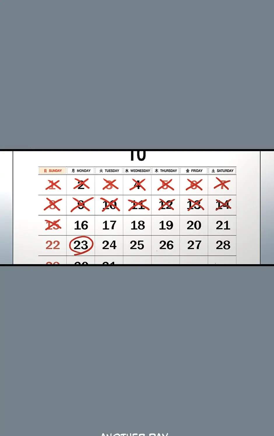 43