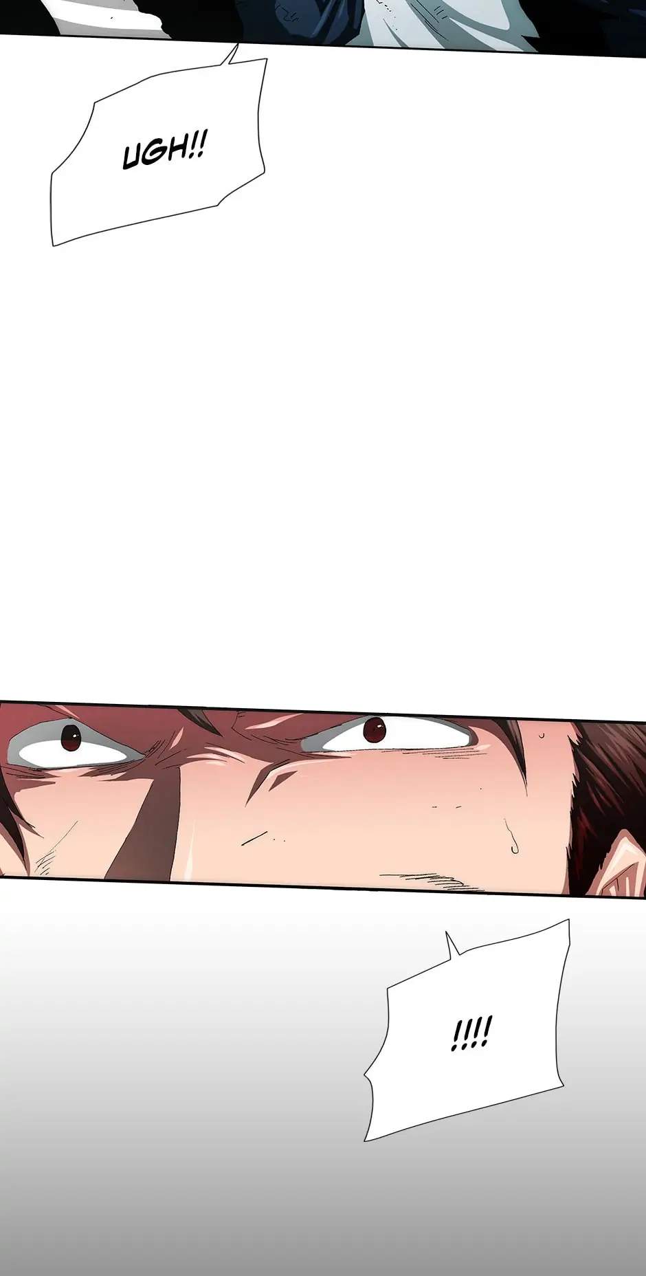 81