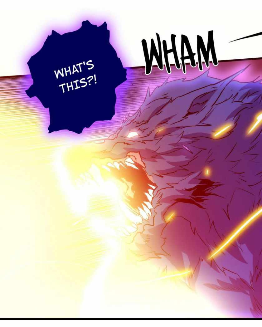 51
