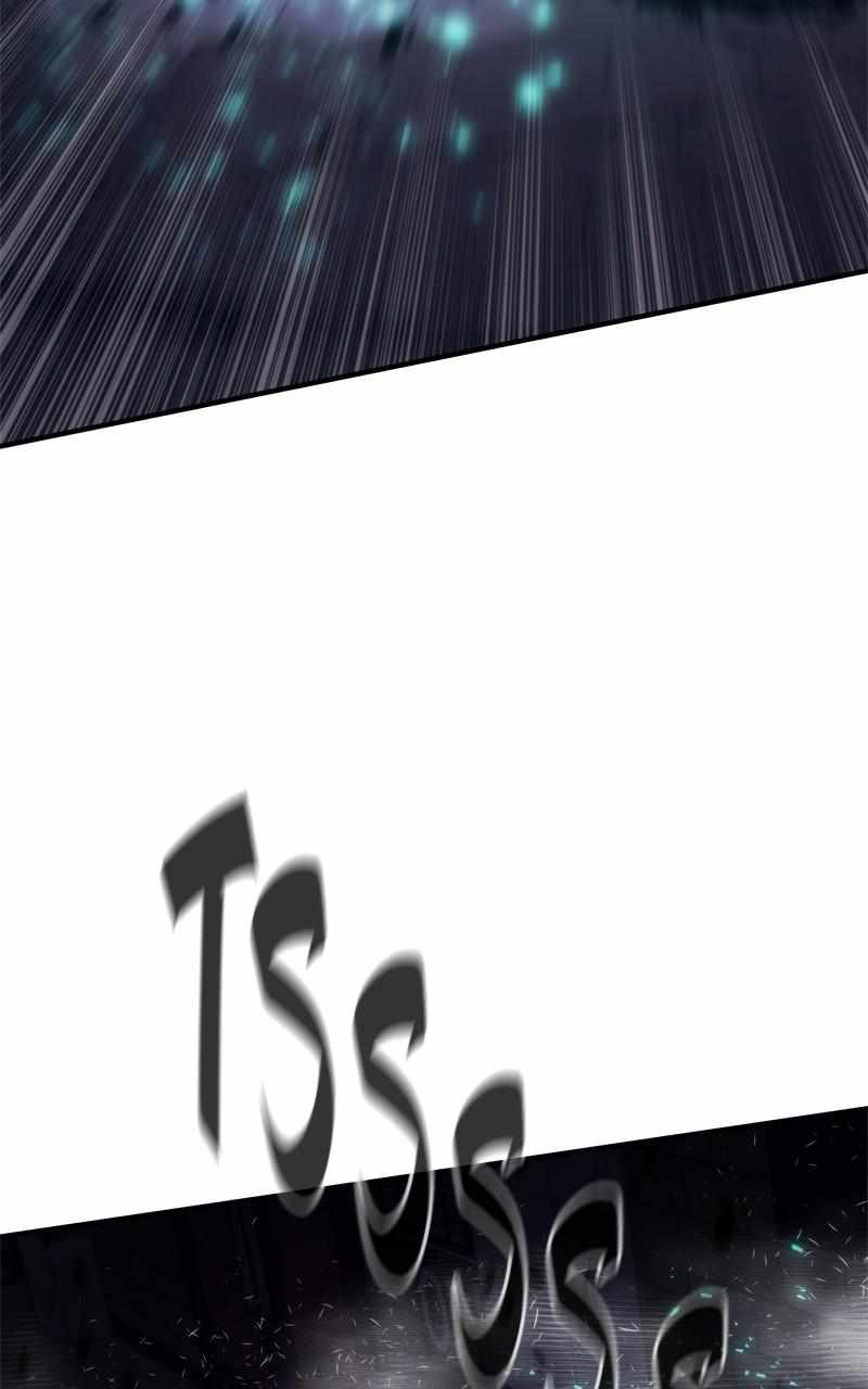 113