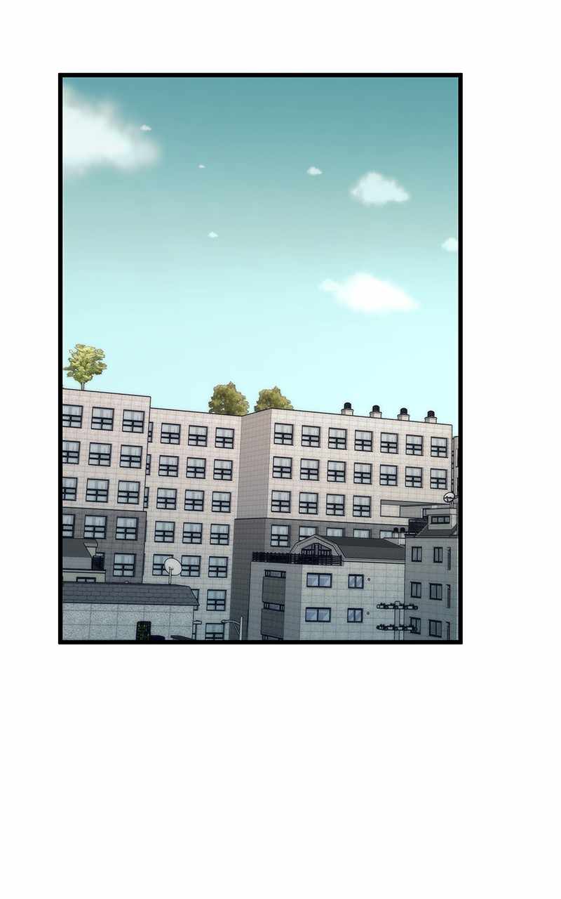 81