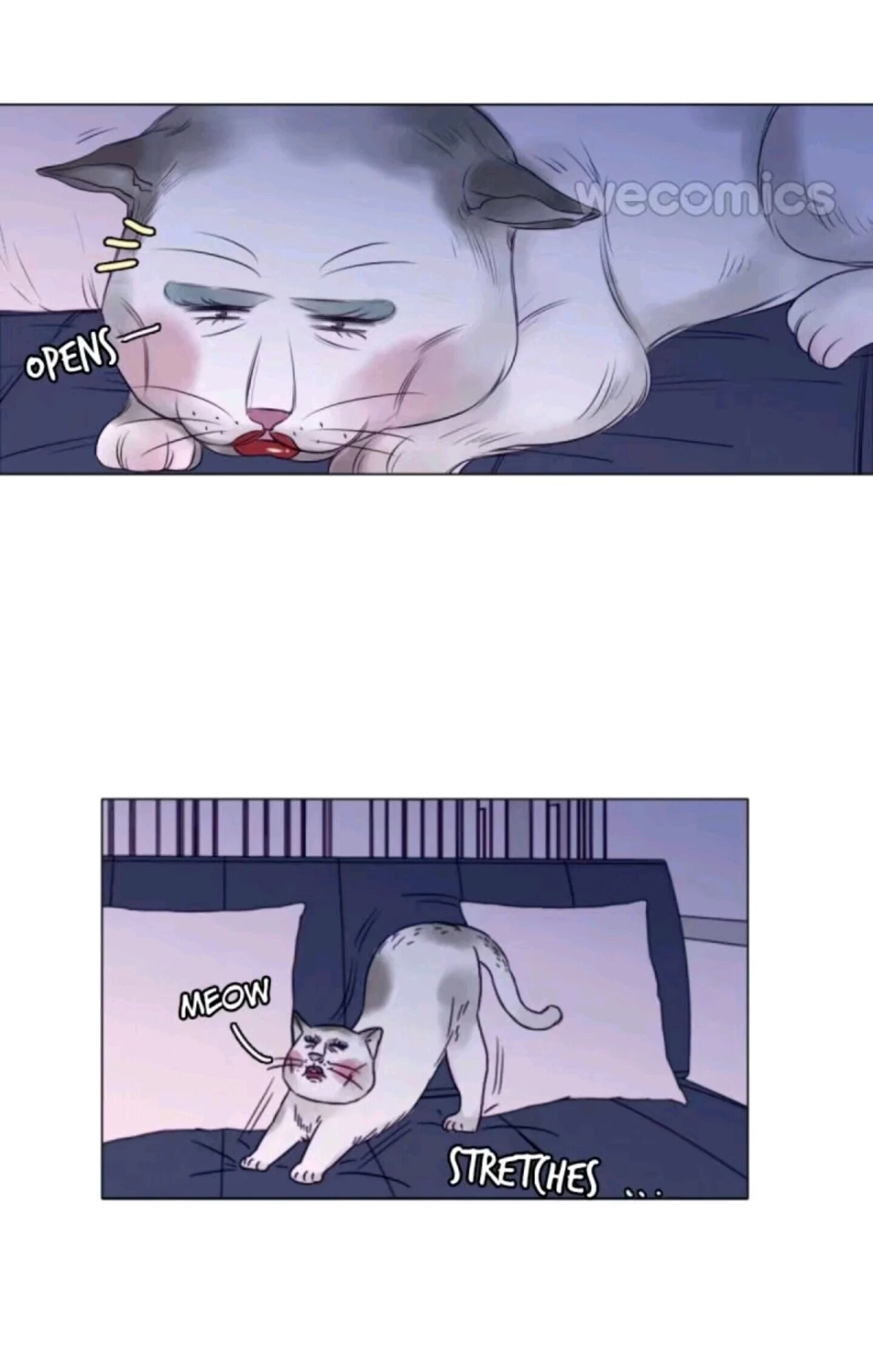 38
