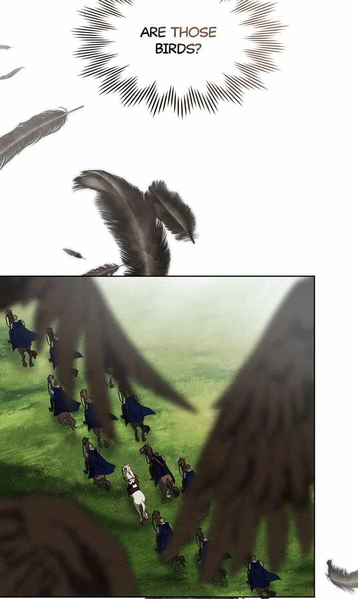 66