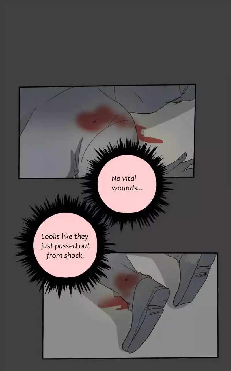 41
