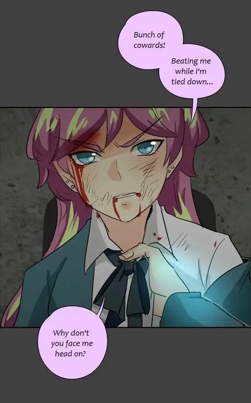 41