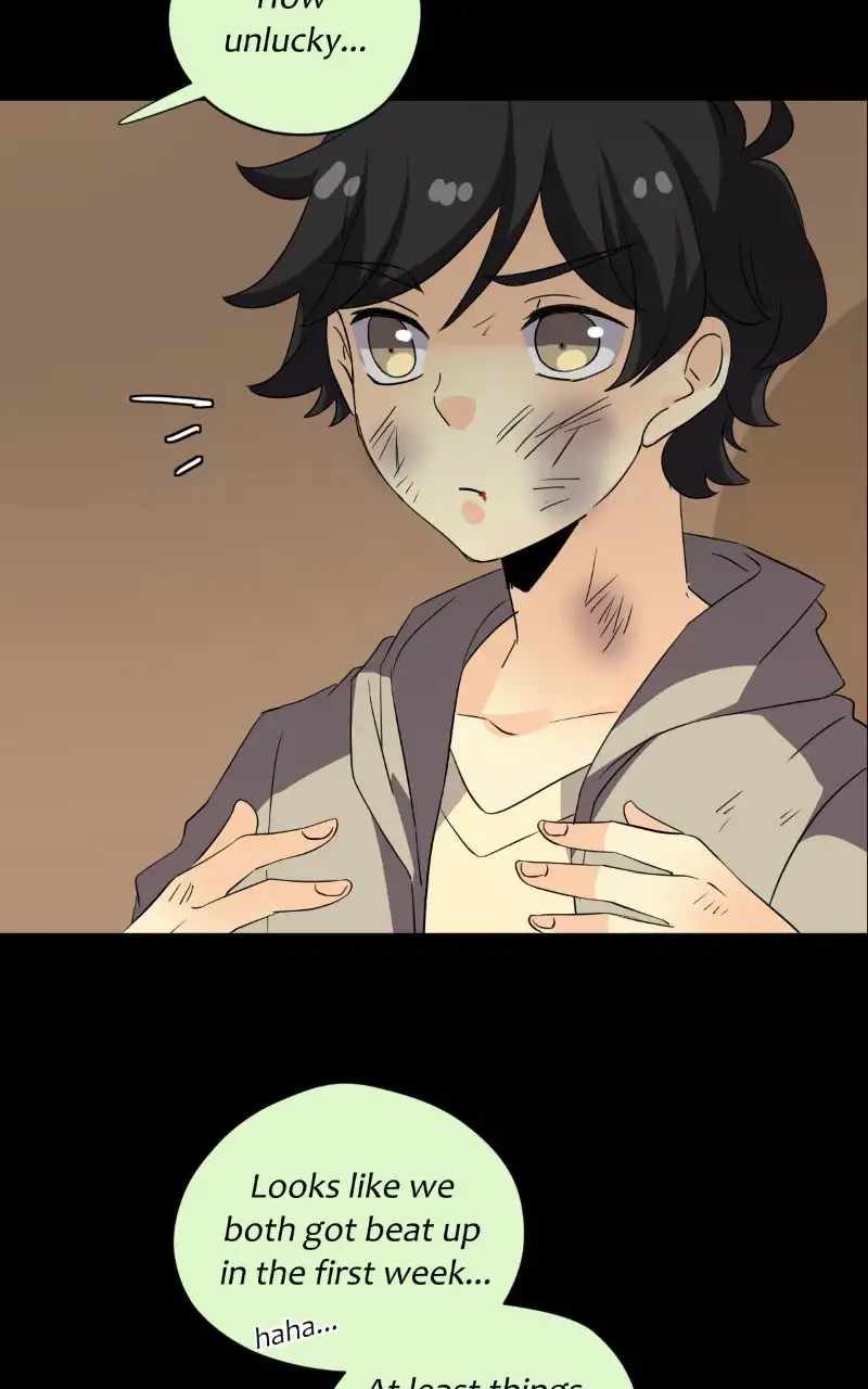 81