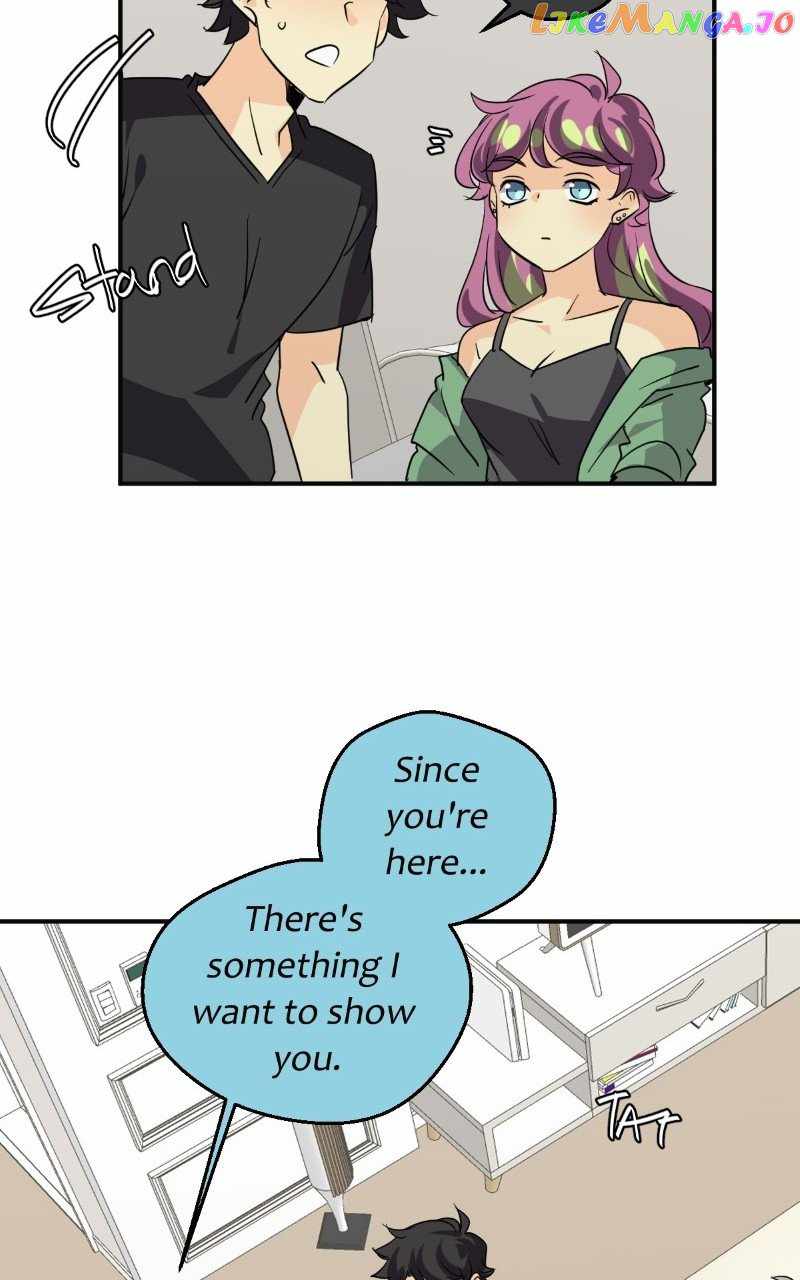 41