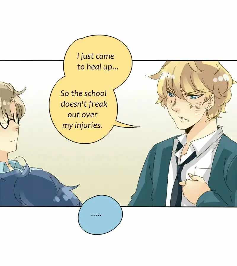 43