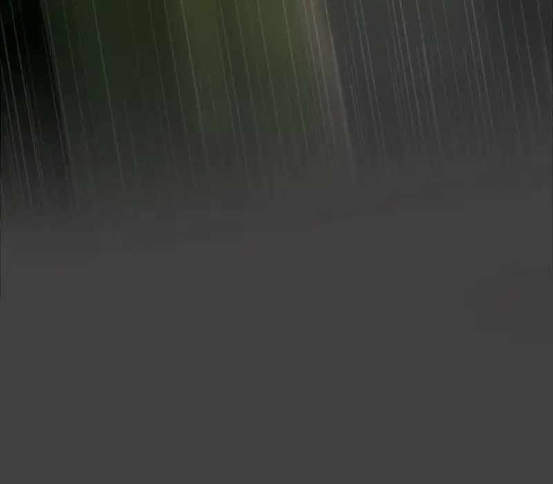 81