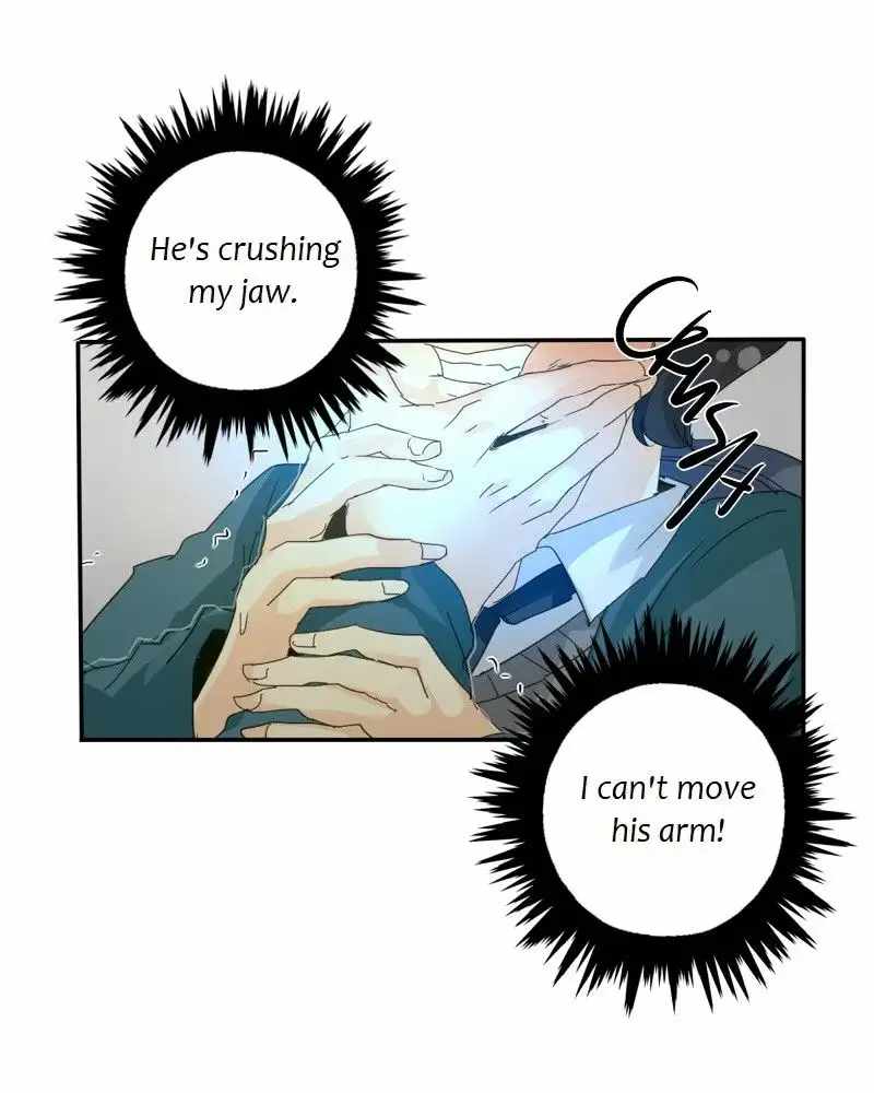 41