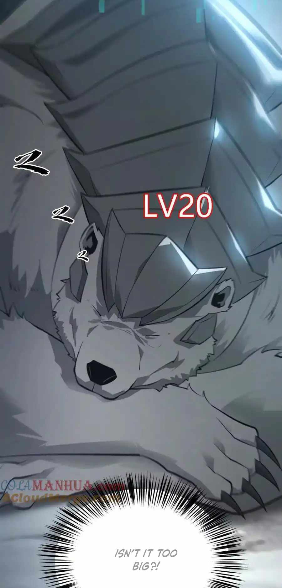 43