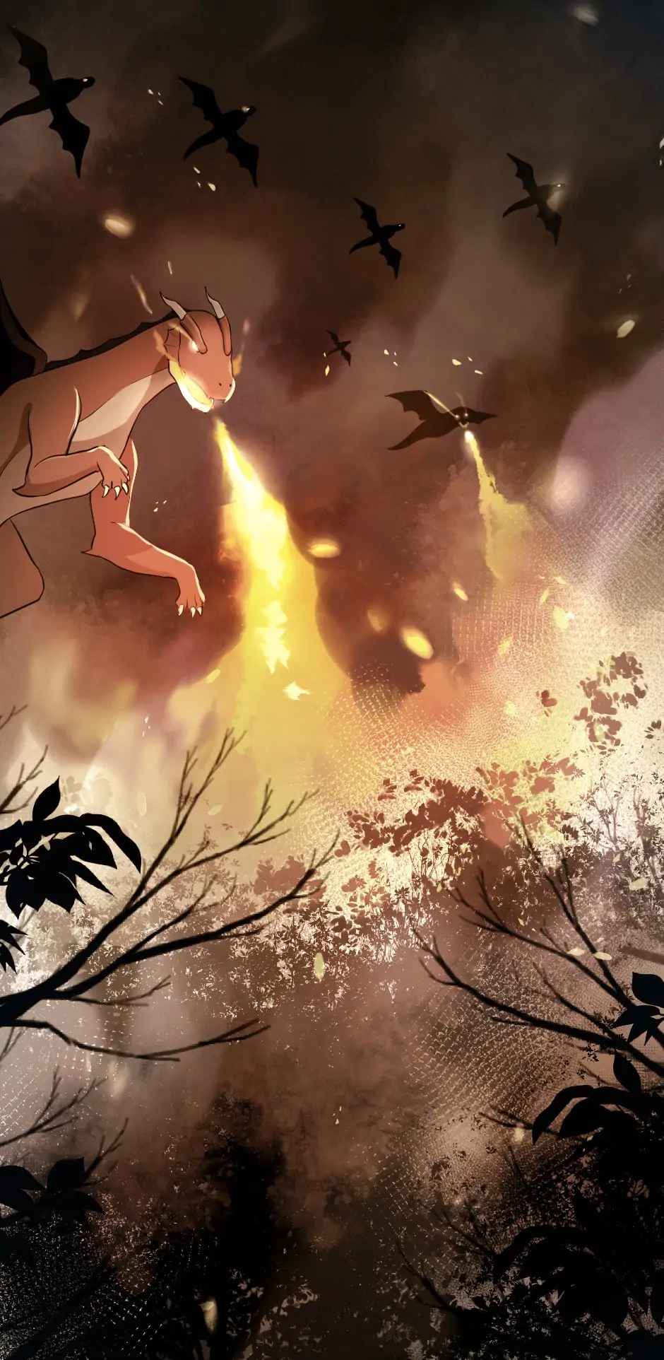 24