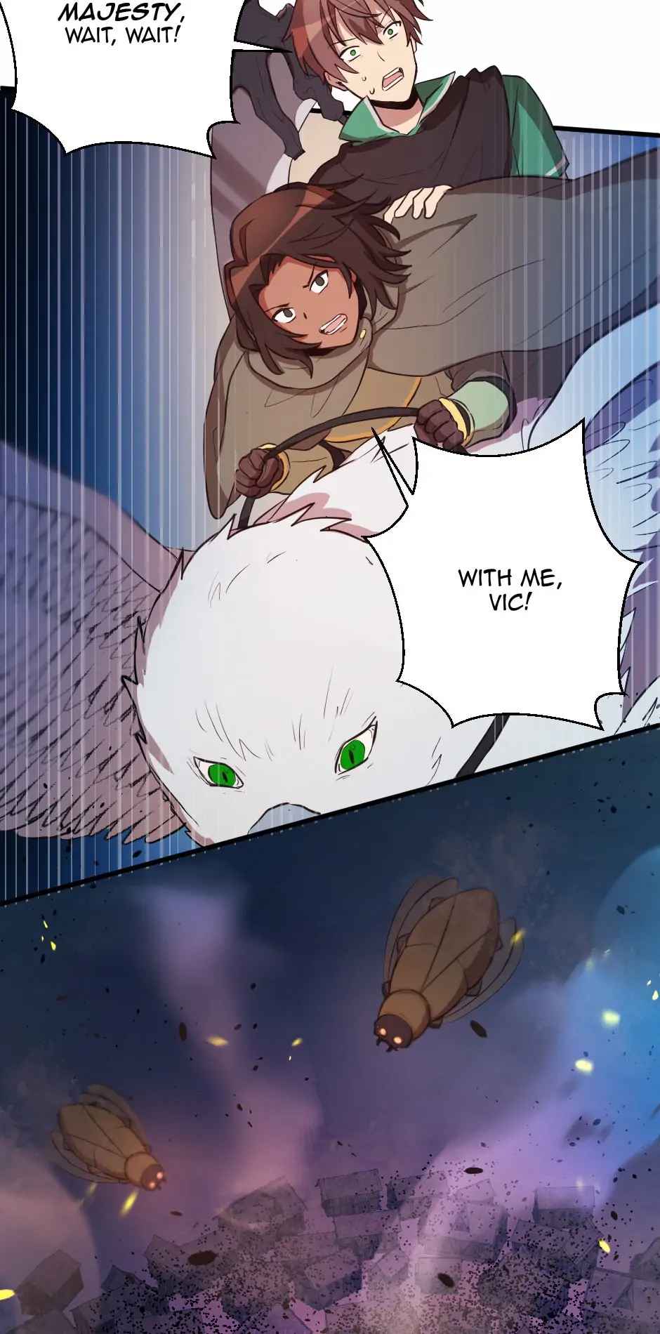 43