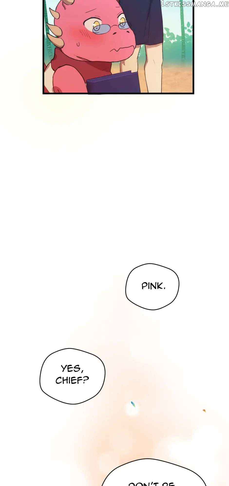 61