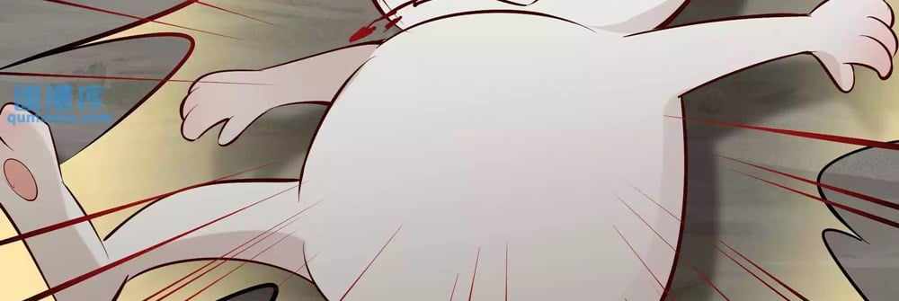 81