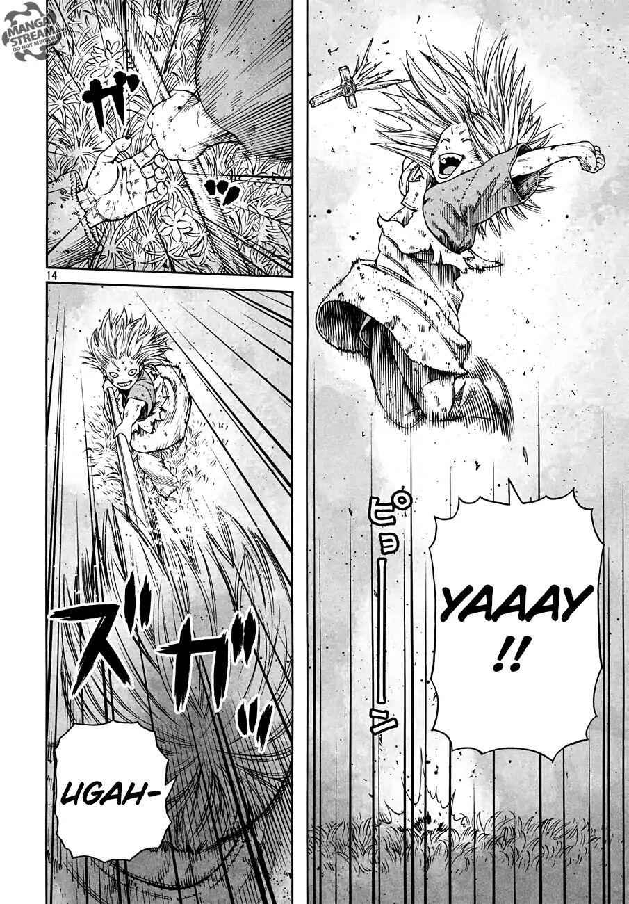 14