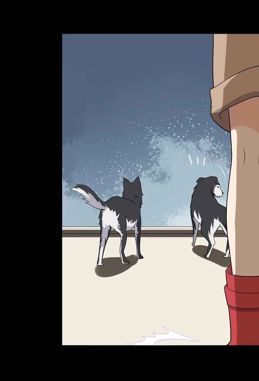 46