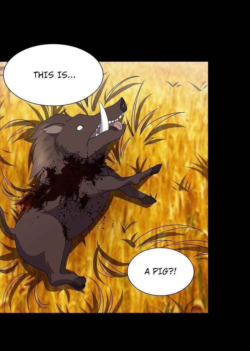 49
