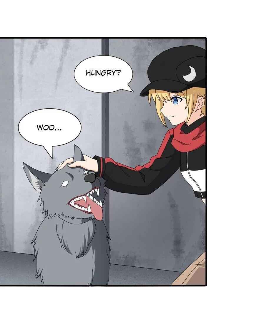 55