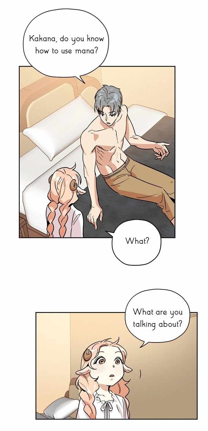 31