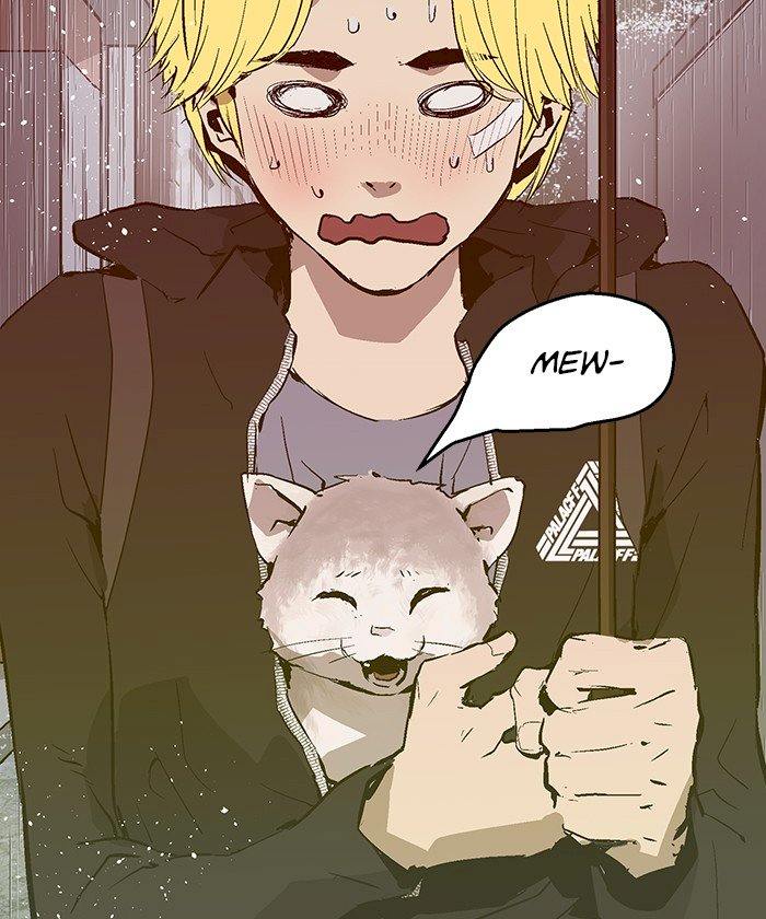 43