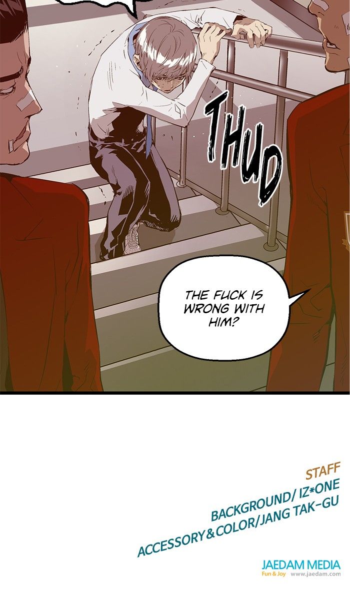81