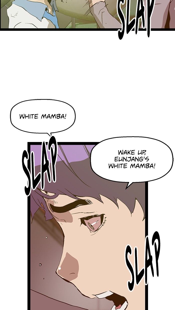 81