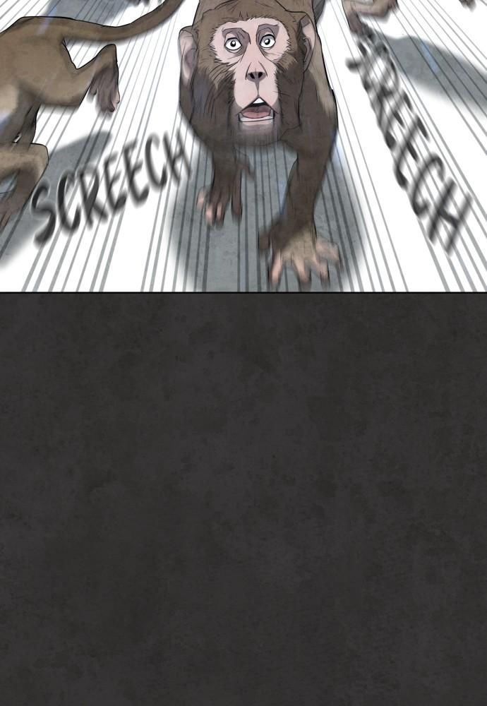 85