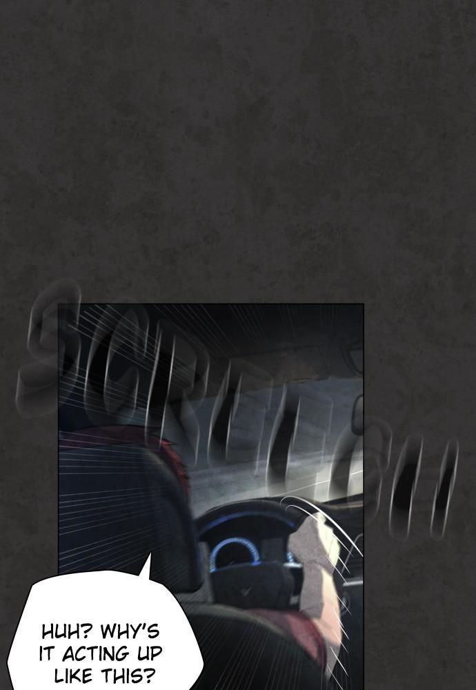 81