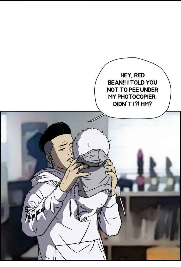 41