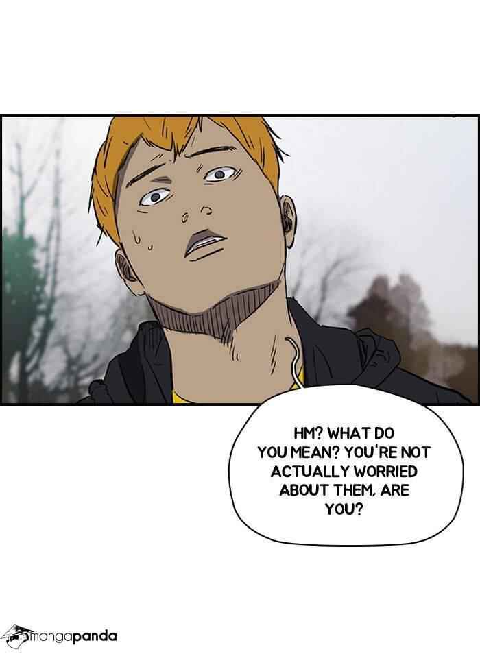 41