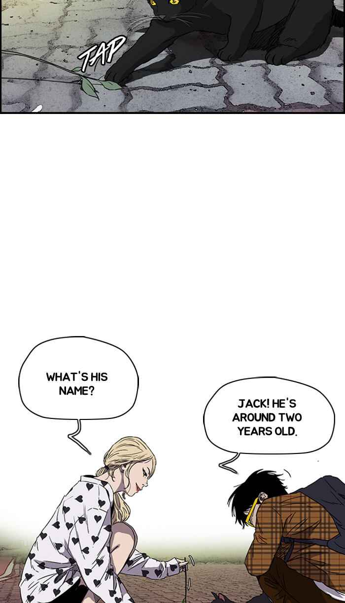 40