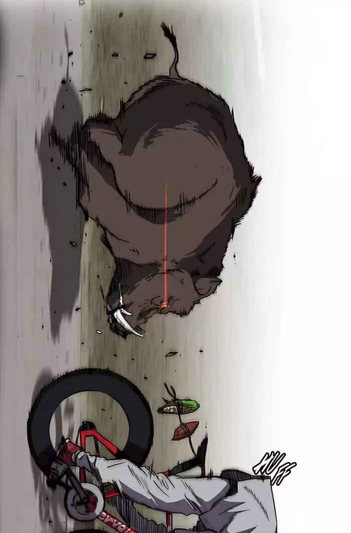 51