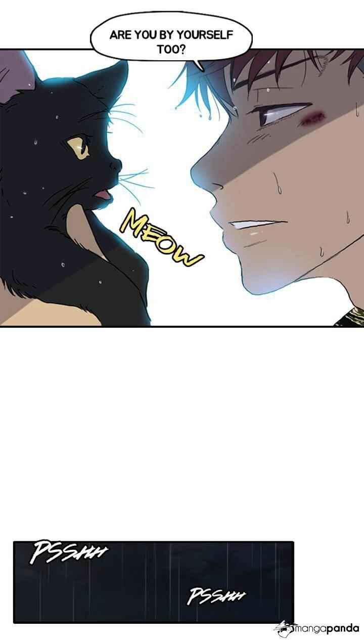 38