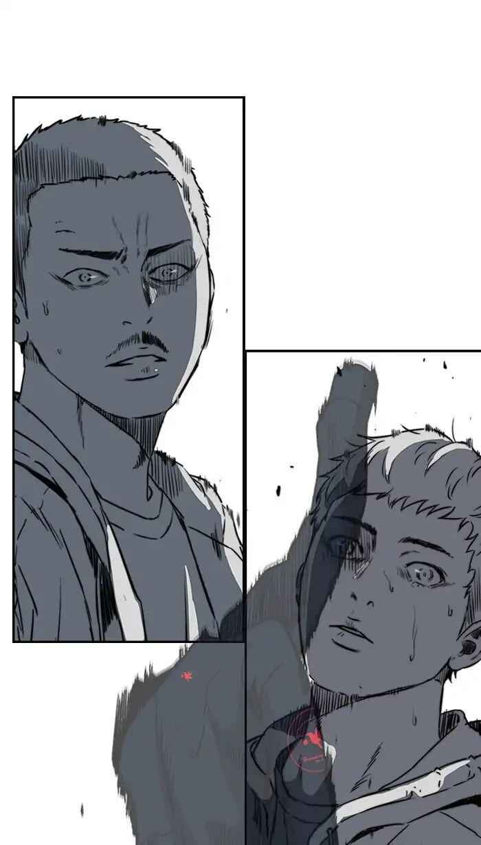 41