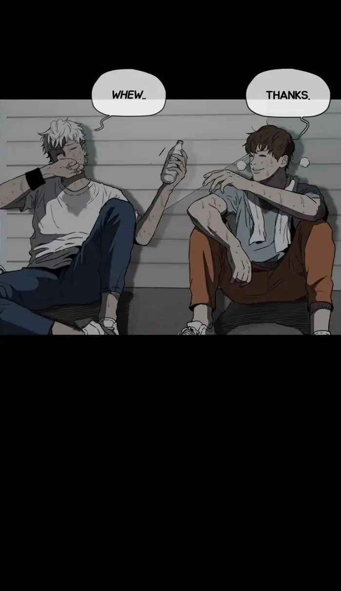 56