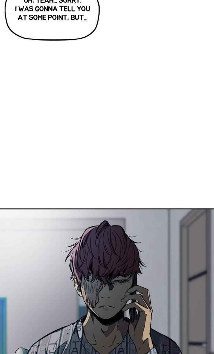 81
